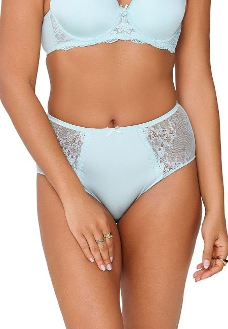 Daily High Waist Brief 358-pastel blue