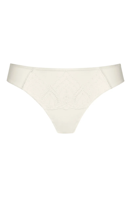 Mini brief 5-champagne